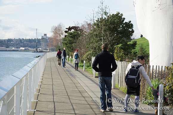 Olympic Sculpture Park