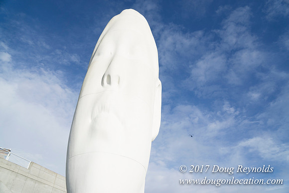Olympic Sculpture Park