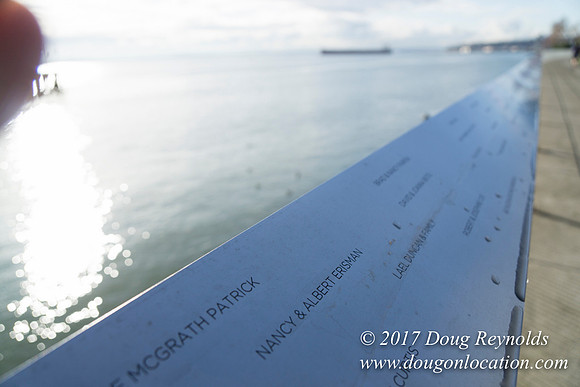 Olympic Sculpture Park