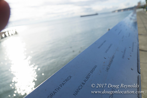 Olympic Sculpture Park
