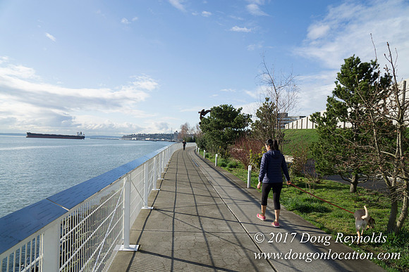 Olympic Sculpture Park