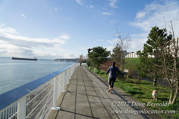 Olympic Sculpture Park