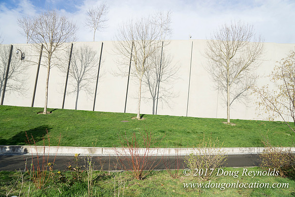 Olympic Sculpture Park