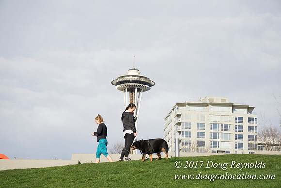 Olympic Sculpture Park