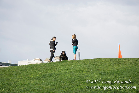 Olympic Sculpture Park