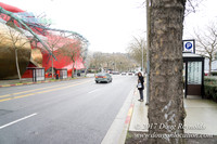 Seattle Center