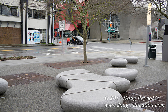 Seattle Grind