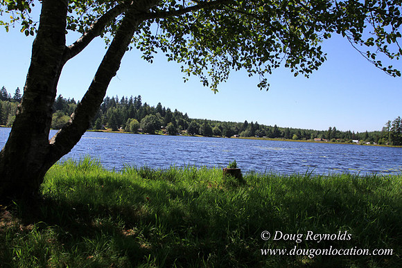 Richter Lake House-8421