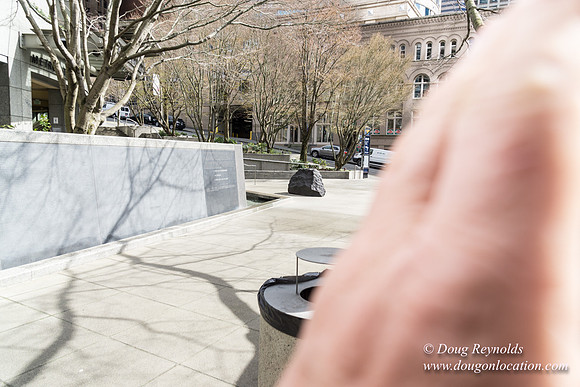 Remembrance Garden