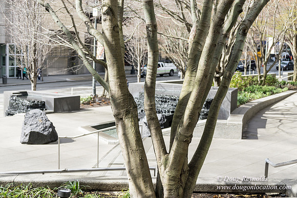 Remembrance Garden