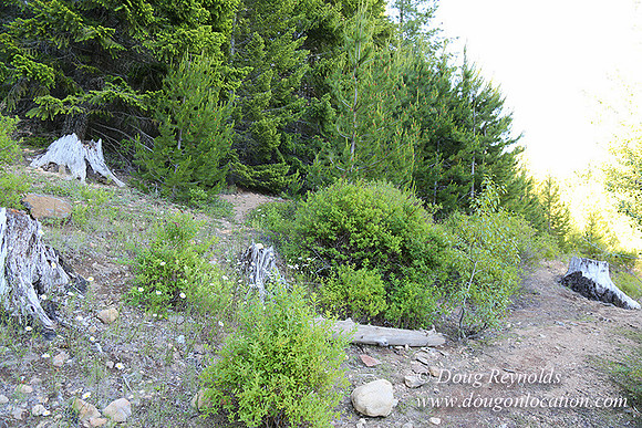 Clear Lake-3562