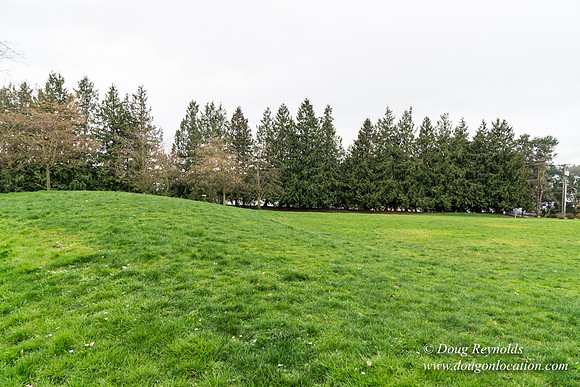 Gas Works Park Seattle