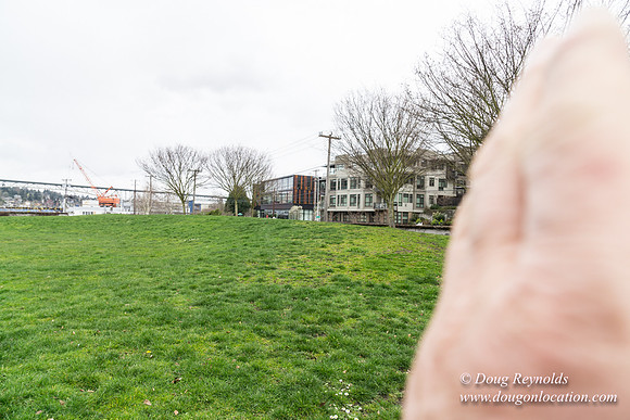 Gas Works Park Seattle