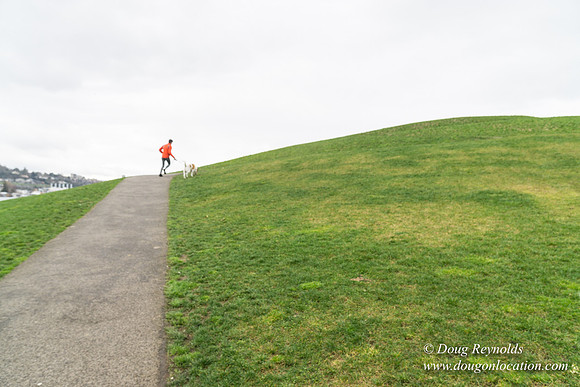Gas Works Park Seattle