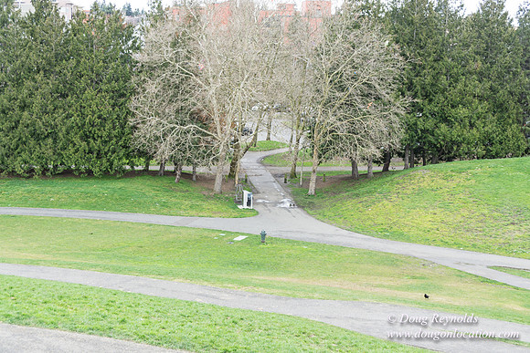 Gas Works Park Seattle