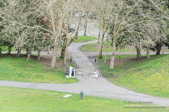 Gas Works Park Seattle