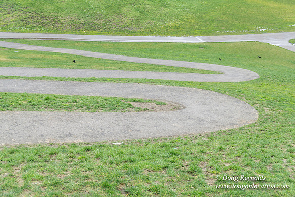 Gas Works Park Seattle