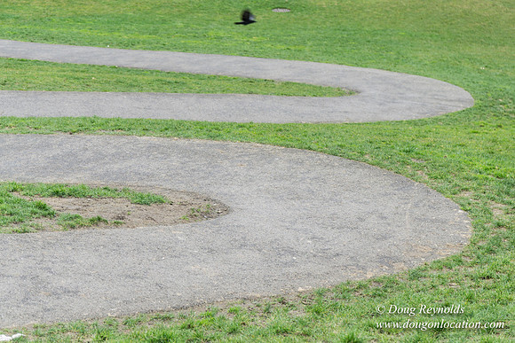 Gas Works Park Seattle