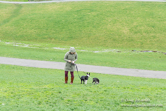 Gas Works Park Seattle