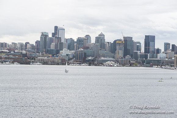 Gas Works Park Seattle