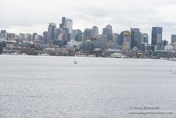 Gas Works Park Seattle