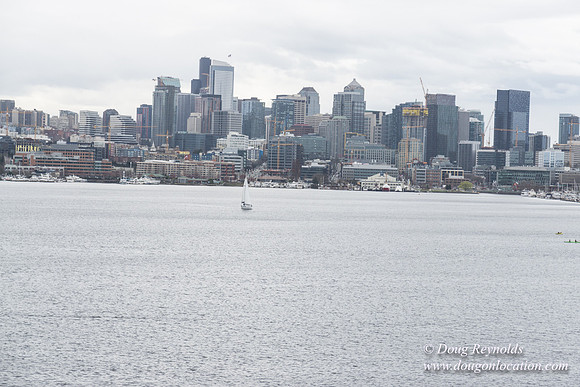 Gas Works Park Seattle