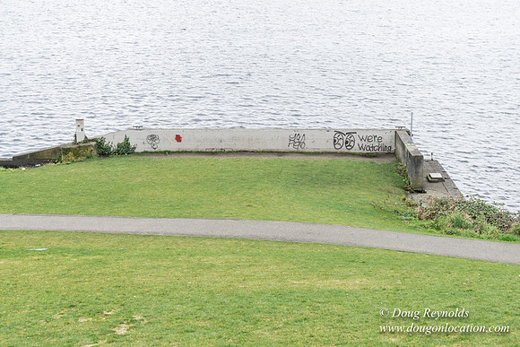 Gas Works Park Seattle