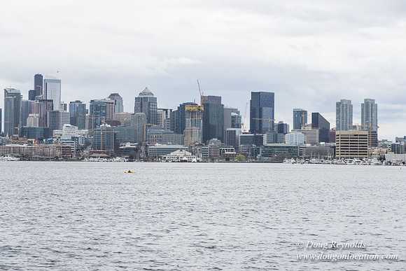Gas Works Park Seattle