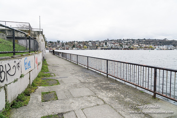 Gas Works Park Seattle