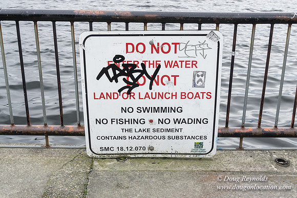 Gas Works Park Seattle