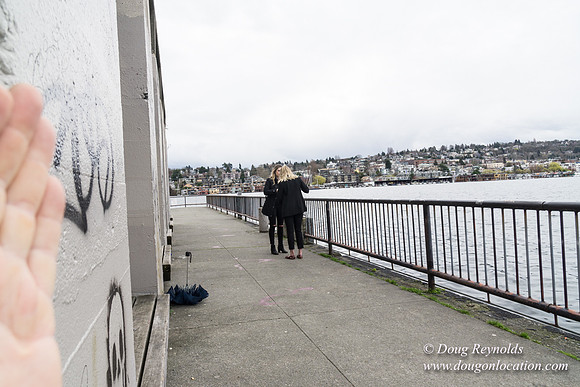 Gas Works Park Seattle