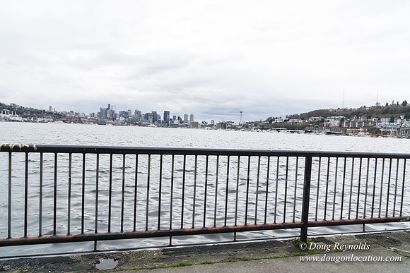 Gas Works Park Seattle