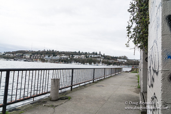 Gas Works Park Seattle