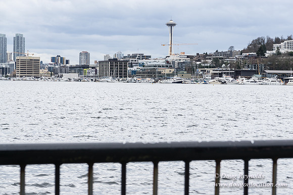 Gas Works Park Seattle
