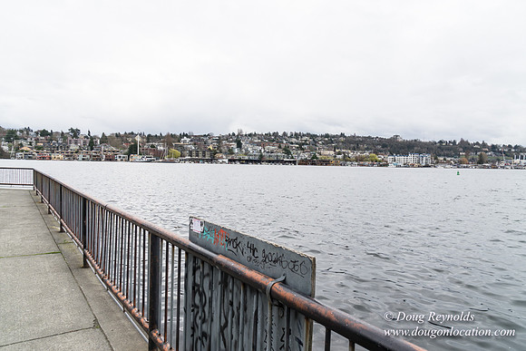 Gas Works Park Seattle