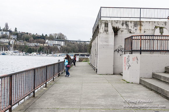 Gas Works Park Seattle