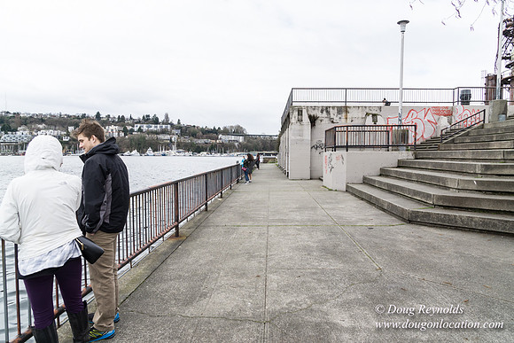 Gas Works Park Seattle