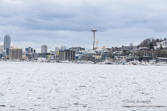 Gas Works Park Seattle