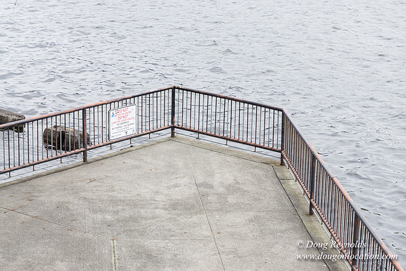 Gas Works Park Seattle