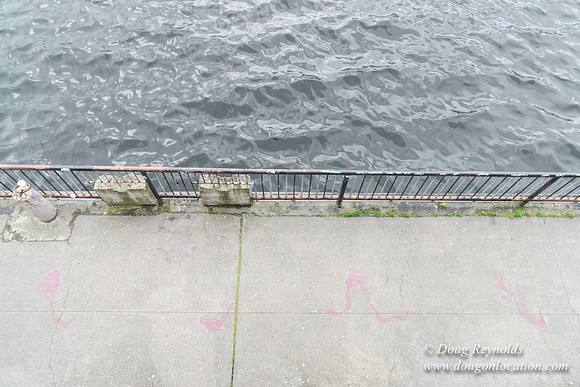 Gas Works Park Seattle