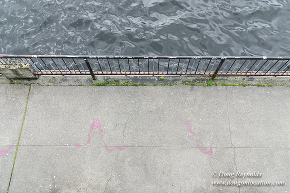 Gas Works Park Seattle