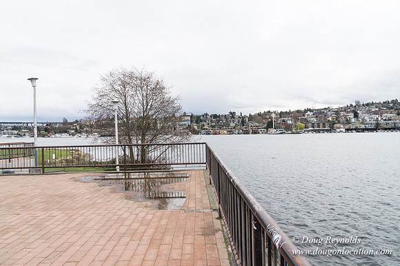 Gas Works Park Seattle