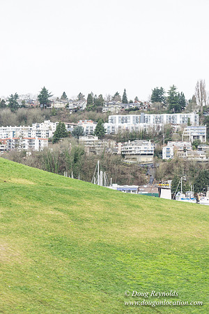 Gas Works Park Seattle