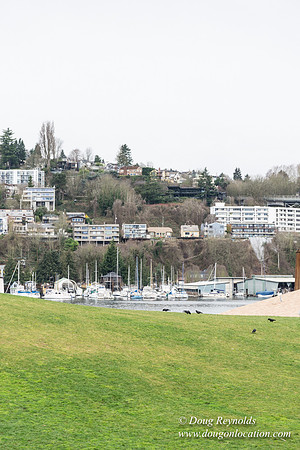 Gas Works Park Seattle