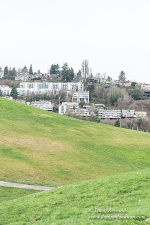 Gas Works Park Seattle