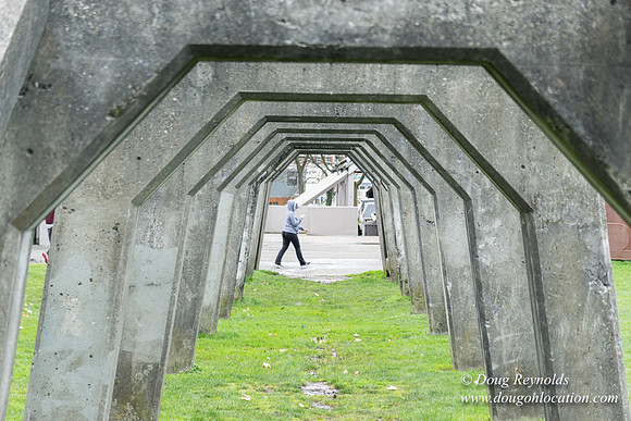 Gas Works Park Seattle