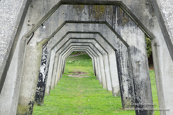 Gas Works Park Seattle