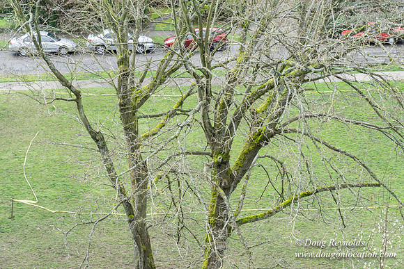 Kery View Park & Play Ground