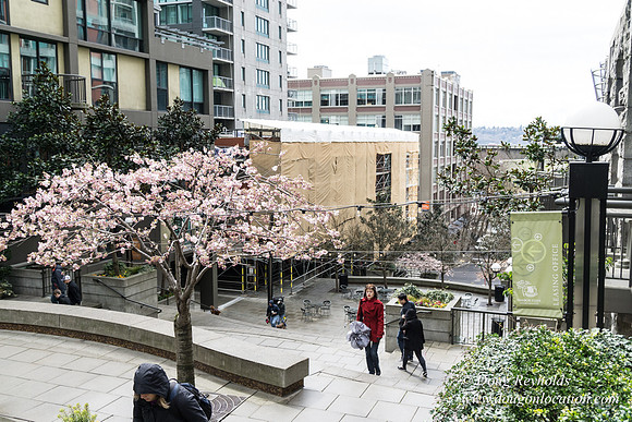 Seattle Art Museum