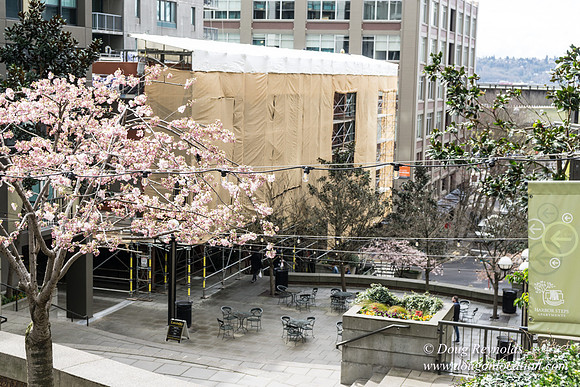 Seattle Art Museum